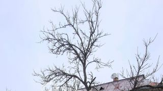 Prenájom rodinného domu, Trstené pri Hornáde