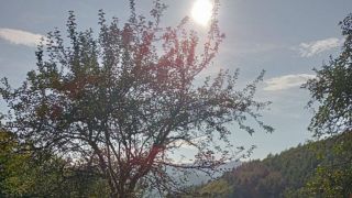 PREDAJ POZEMKU - OBEC RUDNÁ