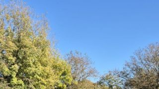  Pozemky Predaj trvalý trávnatý porast Košice - Juh Malá stanica
