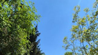  Pozemky Predaj záhrada Košice - Krásna Košice-Krásna