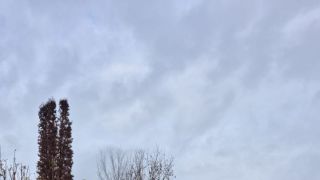  Pozemky Predaj záhrada Košice - Košická Nová Ves Košická Nová Ves